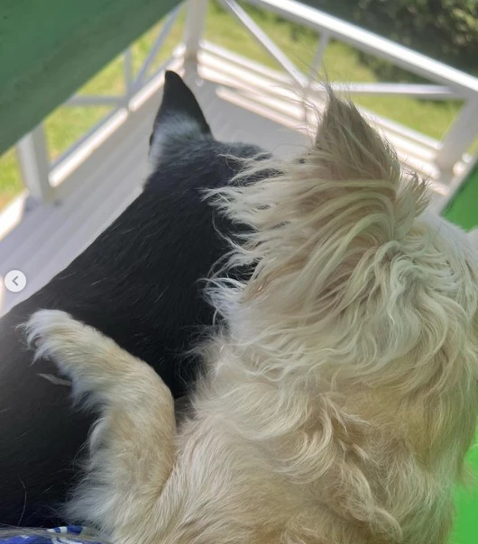 Mica Tinelli en Punta del Este