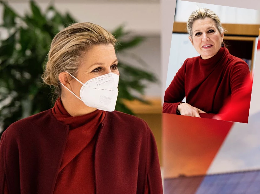 Look Máxima monocolor