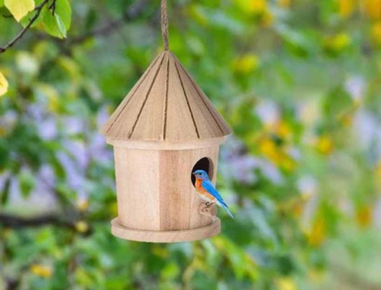 5 tips para atraer pájaros a tu jardín por Clara Marré