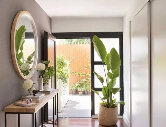 Feng Shui: 4 plantas que deberías tener en el recibidor para atraer la buena suerte