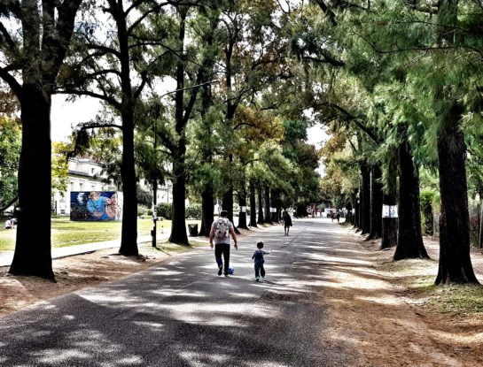Barrios en auge: cuál es el triángulo verde de Buenos Aires