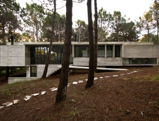 Una casa que sorprende por su arquitectura y diseño ofrece vistas panorámicas hacia un bosque en medio de Valeria del Mar