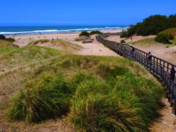 Carnavales, Mar del Plata