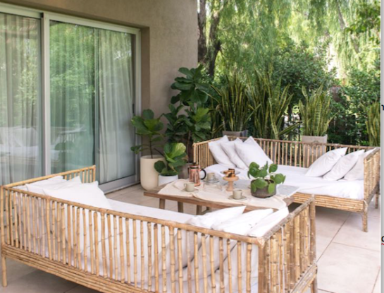 Video deco: una variedad de plantas da la nota en la bella casa de una paisajista