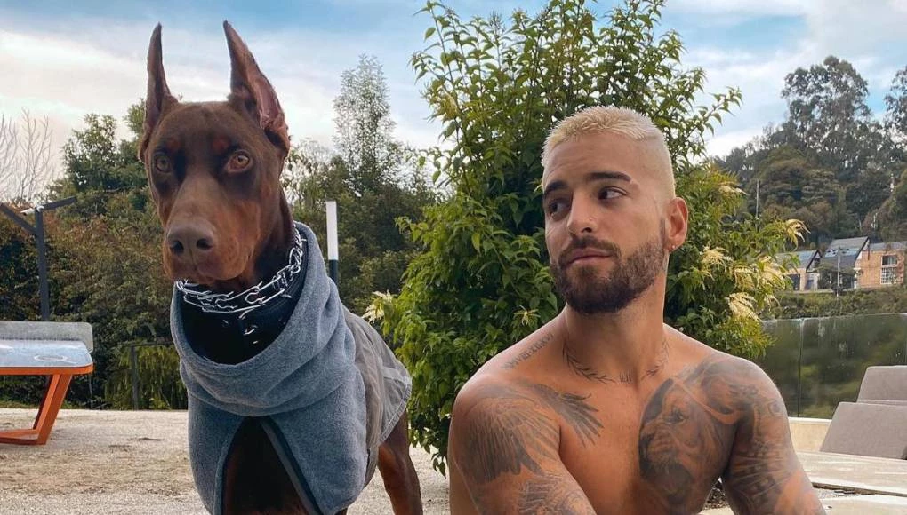 Maluma fue mordido por su perro