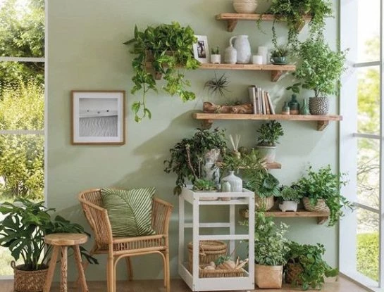 Las mejores plantas de interior para decirle adiós a la humedad de tu casa