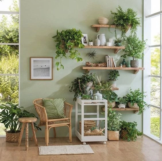 Las mejores plantas de interior para decirle adiós a la humedad de tu casa  – Revista Para Ti