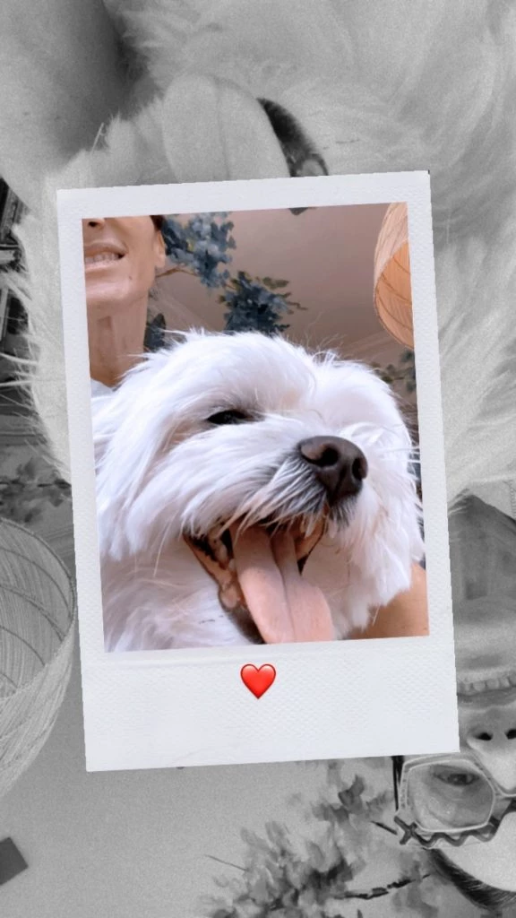 Vero Lozano y su perrito Copito Lozano. FOTO IG