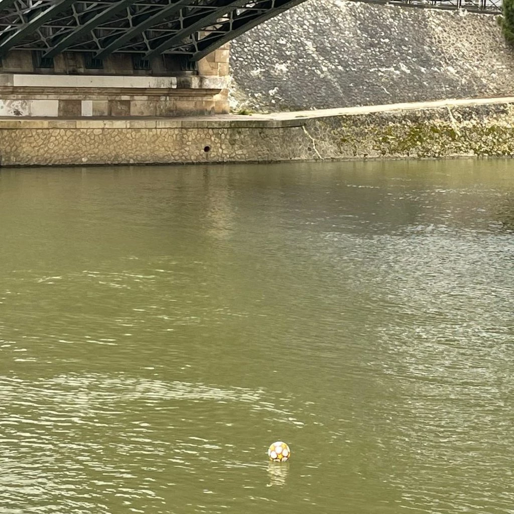 La pelota de los chicos de Wanda Nara en el río sena