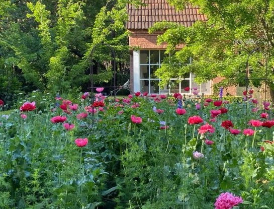 #ManualDeJardinería: espiá cada detalle de uno de los jardines más lindos de Instagram