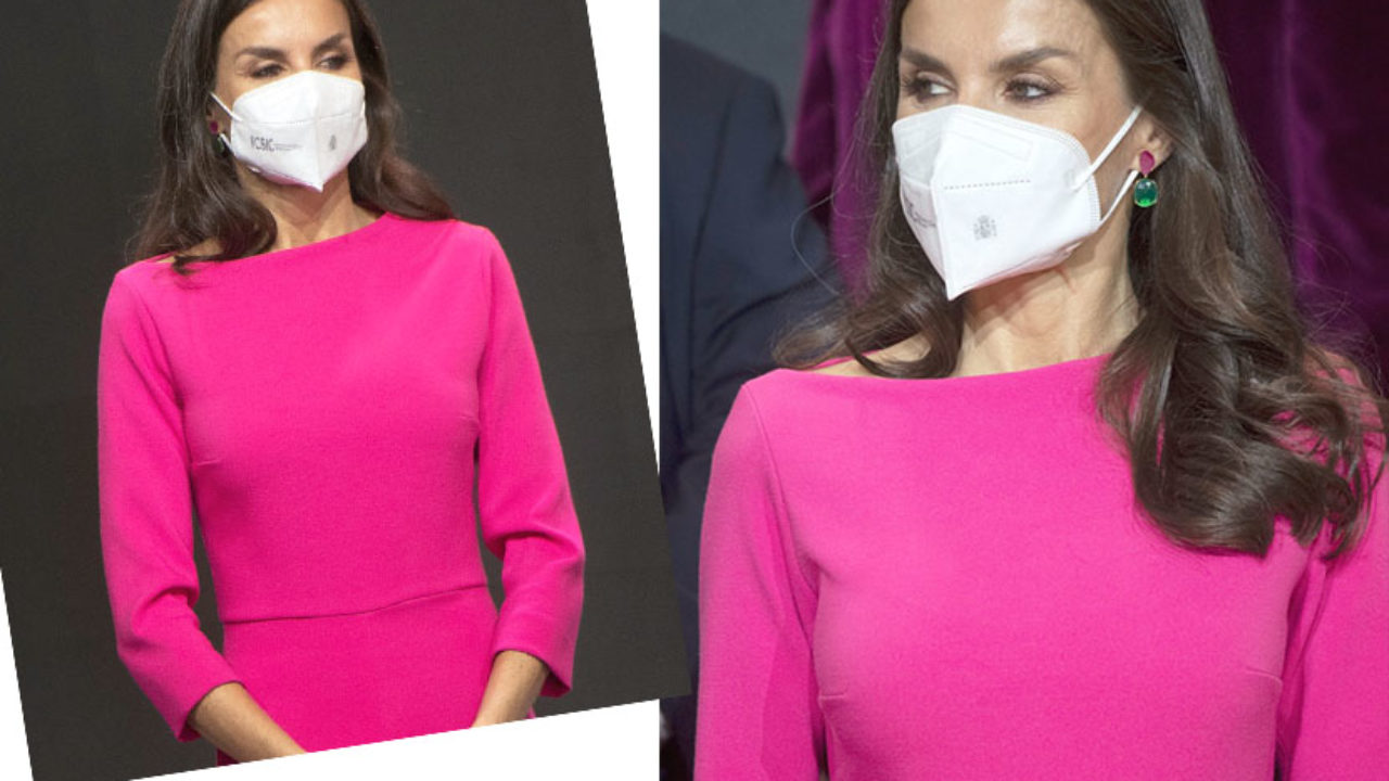 Letizia nos enseña con qué zapatos combinar un vestido fucsia – Revista  Para Ti