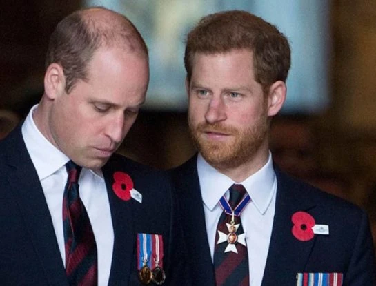 Revelan cuáles son los motivos del distanciamiento entre los príncipes William y Harry