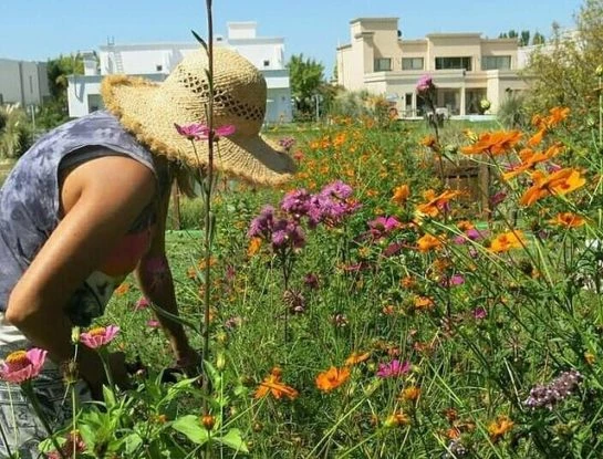 #ManualDeJardinería: todo lo que tenés que saber para armar un jardín de semillas en casa, la nueva tendencia en exteriores