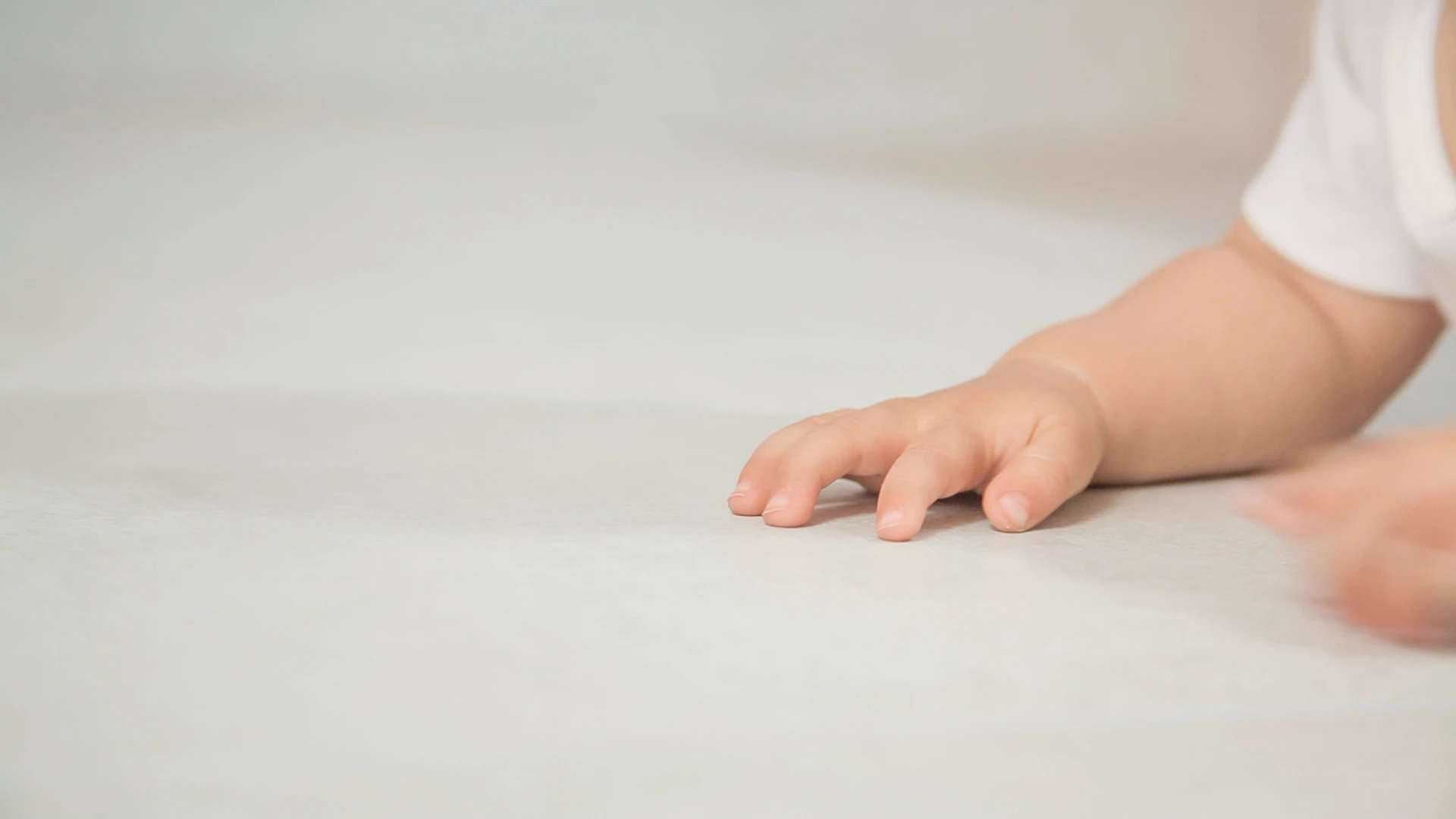 NANOTEC, Cerro Negro, Porcelanato, microorganismos