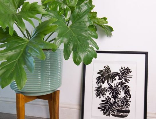 Xanadu: la planta de interior que marca tendencia este 2022