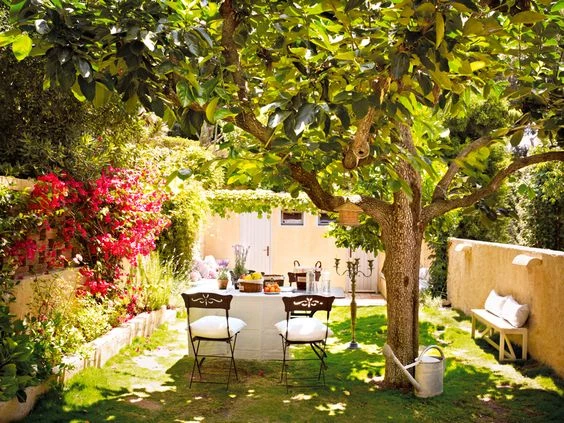 Patios Con Arboles Frutales () Patios Con Arboles Frutales