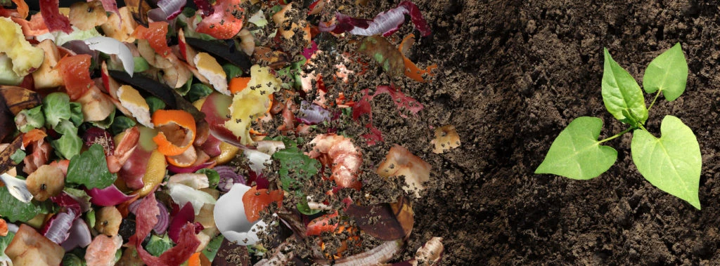 HAcer compost en casa