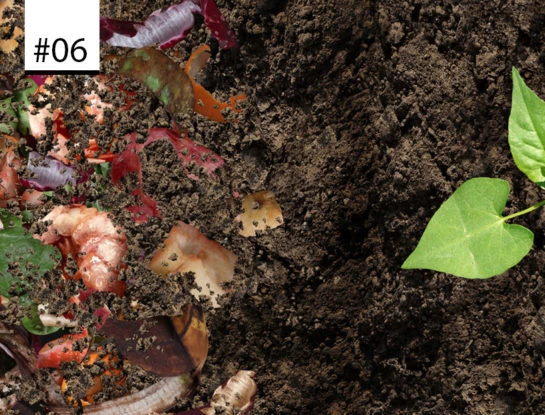 #Los100DeParaTi: hacer compost en casa, una práctica que le hace bien al medio ambiente y tus plantas