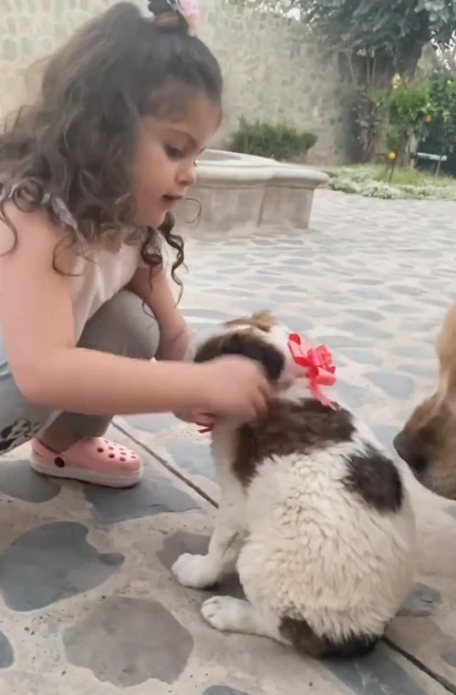 CAsa de Isabel Macedo y Juan Manuel Urtubey