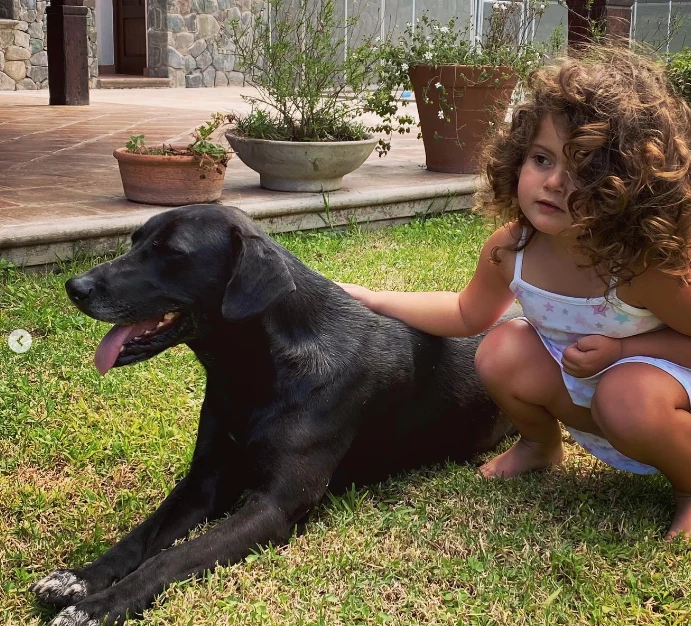 CAsa Isabel Macedo y Urtubey