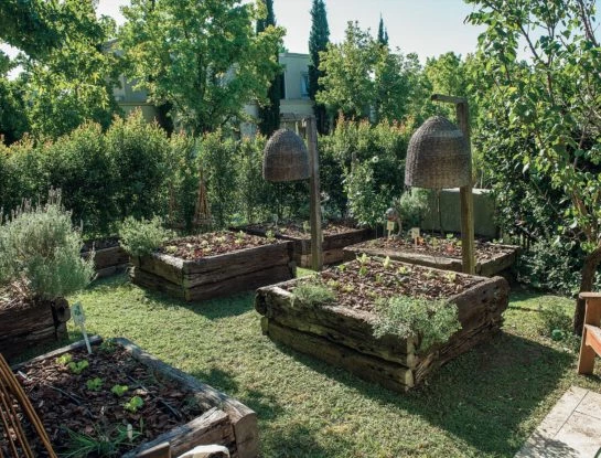 Cómo preparar tu huerta para los meses fríos