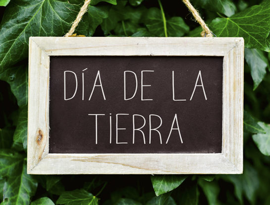 Día Mundial de la Tierra: por qué se celebra el 22 de abril