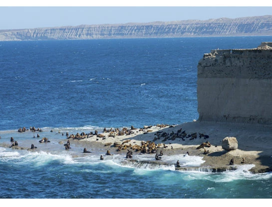 Los productos que cuidan tu piel  mientras protegen las aguas del océano