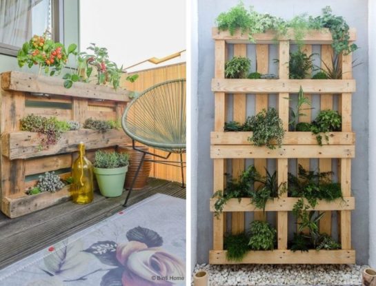 Fácil y rápido: cómo armar un jardín vertical con pallets en el exterior de tu casa