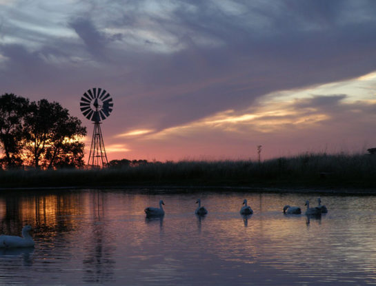 #DóndeVamos: Punta Indio, río, naturaleza y experiencias de turismo comunitario