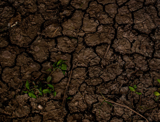 El tabaco destroza los pulmones y también el medio ambiente