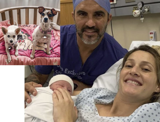 Así fue el momento en el cual Aloha y Frida, las perritas de Mica Viciconte y Fabián Cubero, conocieron a Luca