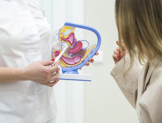 Todo lo que tenés que saber sobre la incontinencia urinaria femenina