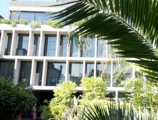 #ManualDeJardinería: así se transformó una oficina en un oasis verde en el medio de la ciudad