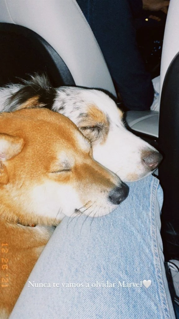 Abril Bruzzese también se despidió de Marvel