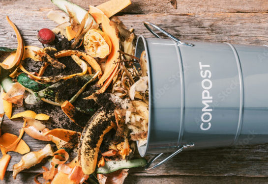 #ManualDeJardinería: así armó su propia compostera la influencer Loli Clement