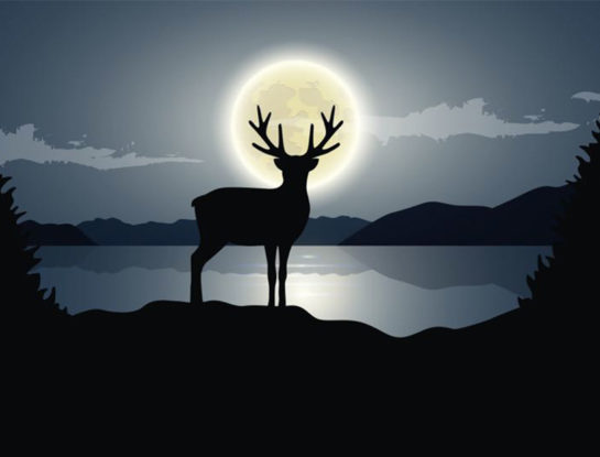 Luna llena de julio 2022: a qué hora será en Argentina y desde dónde se puede ver