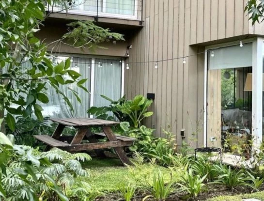 7 plantas perfectas para armar un rincón tropical