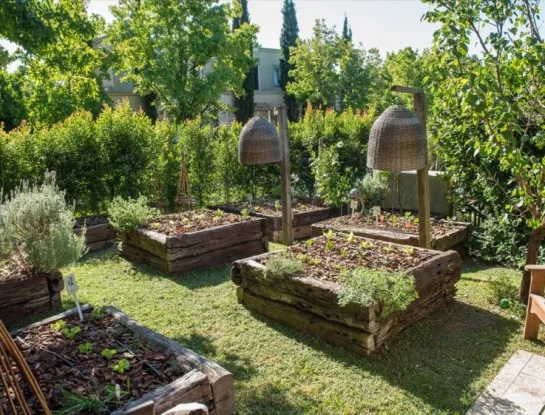 Huerta en casa: qué sembrar y cómo cuidarla durante el invierno