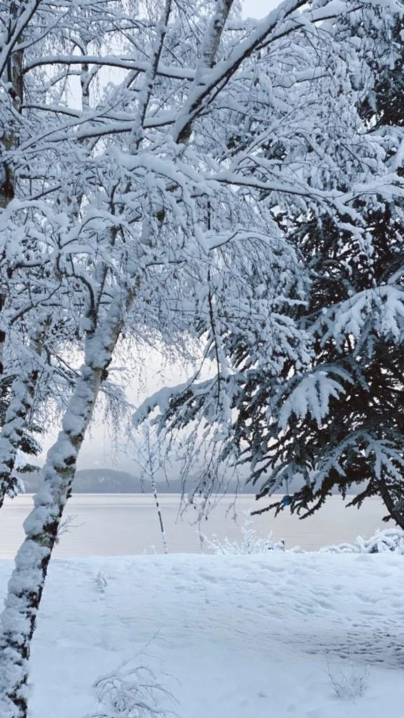 Carola del Bianco compartió fotos de la nevada en el sur
