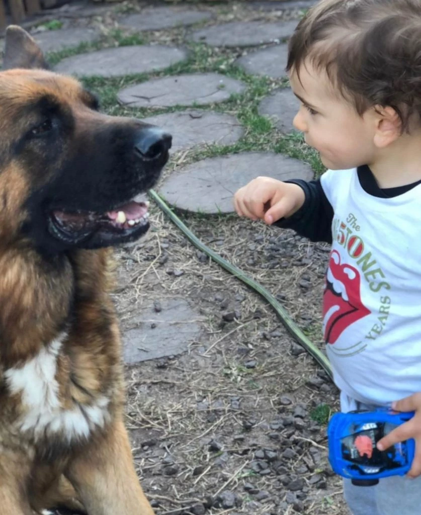 bastian hijo de marcelo de bellis