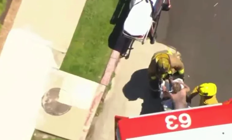 ACCIDENTE ANNE HECHE