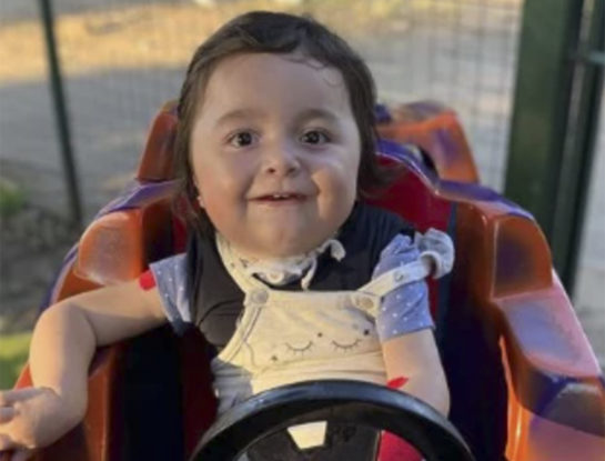 Así está Emmita hoy: evoluciona favorablemente desde la campaña de Santi Maratea