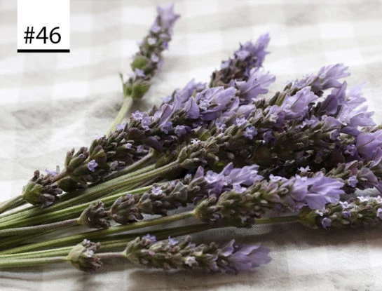 #Los100DeParaTi: la lavanda es el nuevo ingrediente de moda en la cocina