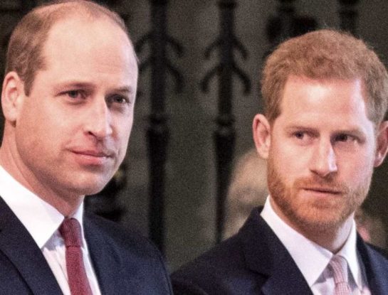 Cómo recuerdan Guillermo y Enrique a su madre Lady Di, a 25 años de su muerte