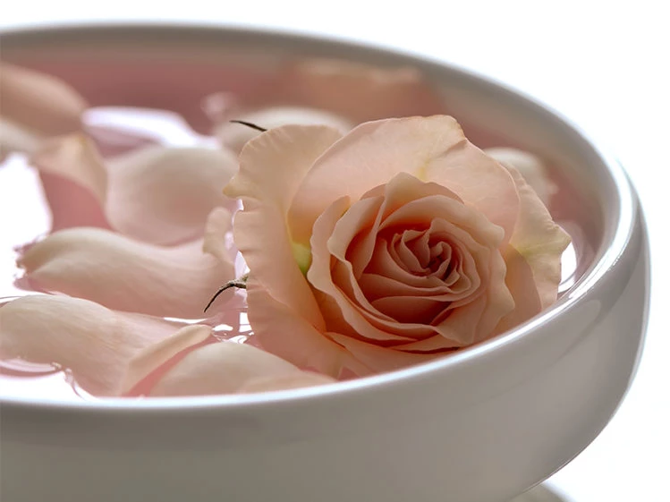 Ritual con agua de rosas para potenciar tu energía – Revista Para Ti