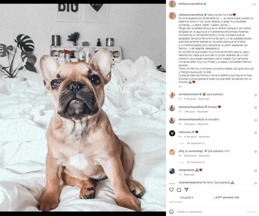 El posteo de Nicole Neumann para pedir que aparezca su perra Shiva