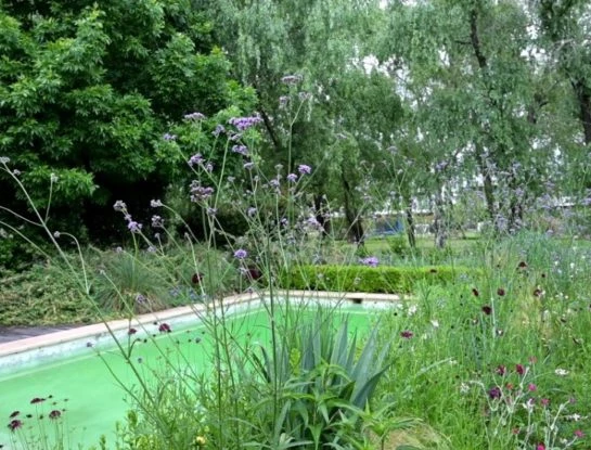 #ManualDeJardinería: qué es un paisaje ecosistémico y cómo funciona