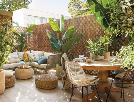 Feng Shui: 3 lugares de la casa que tenés que evitar decorar con plantas