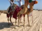 Safari en camello en Doha