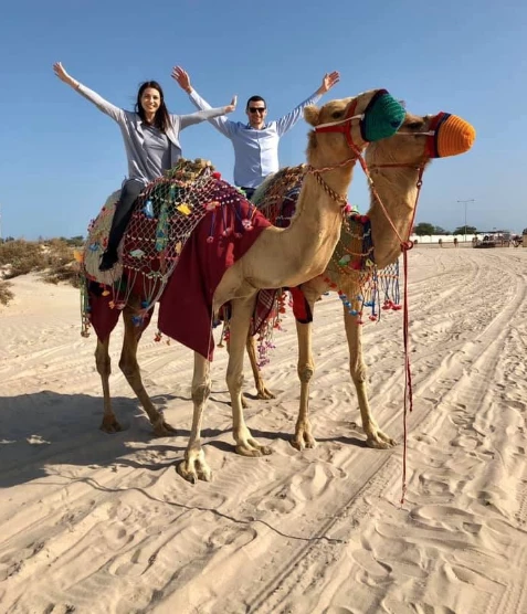 Safari en camello en Doha